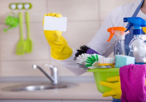 Professional window cleaning for homes and flats in SE13