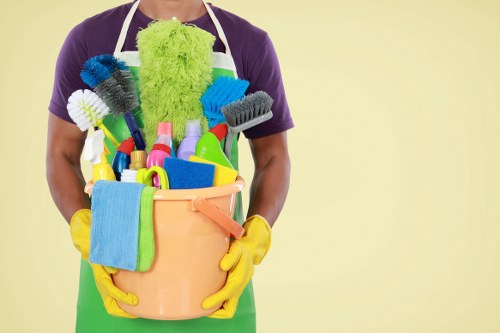 Professional oven cleaning service for SE13 homes