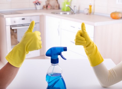 Domestic cleaning service in SE13 for local homes and apartments