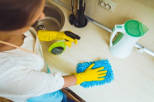 Regular window cleaning service for properties across SE13