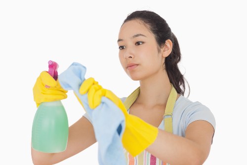 Carpet cleaner inspecting equipment before use