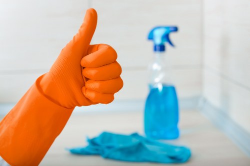Safety precautions for carpet cleaning in a home setting
