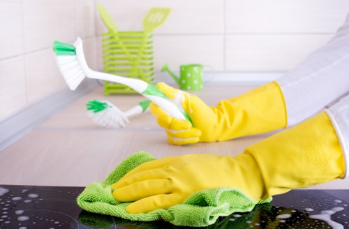 Screen-reader friendly carpet cleaning webpage layout for SE13