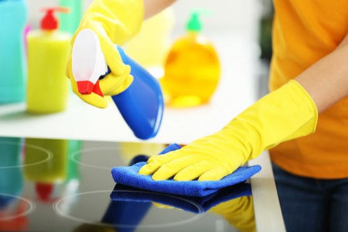 Stain removal service for SE13 flats and rentals