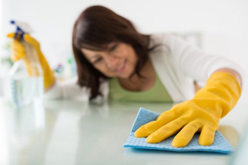 Professional carpet cleaning service in a SE13 home living room