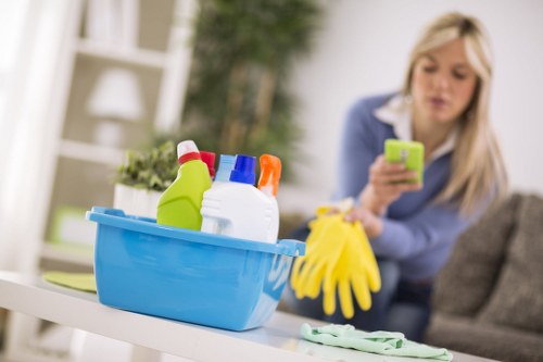 Professional regular cleaning support for SE13 properties
